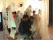 ww6238.jpg ww6238.jpg