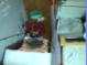 ww6293.jpg ww6293.jpg