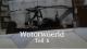 ww6790.jpg ww6790.jpg