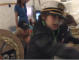 ww5639.jpg ww5639.jpg
