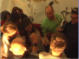 ww6015.jpg ww6015.jpg