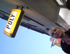 polybild